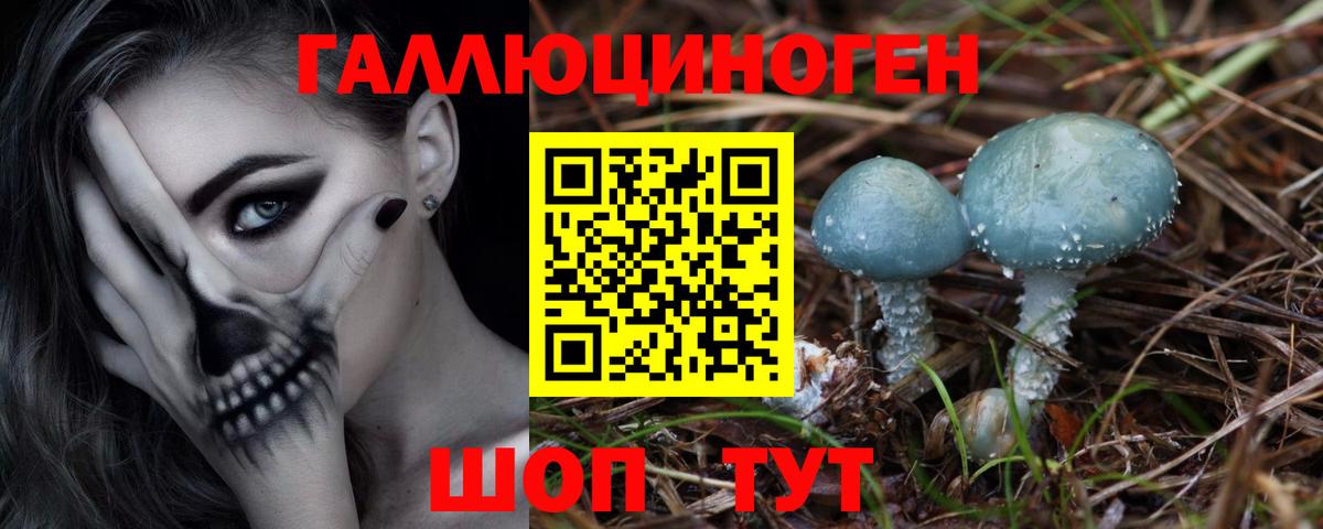 Курган  Псилоцибиновые грибы GOLDEN TEACHER  купить наркотики цена  Вход с VPN 